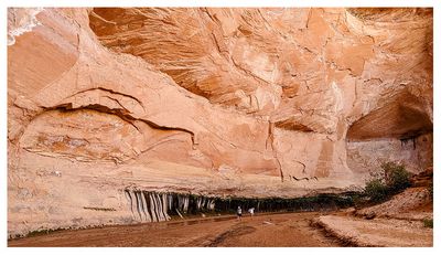 Coyote Gulch