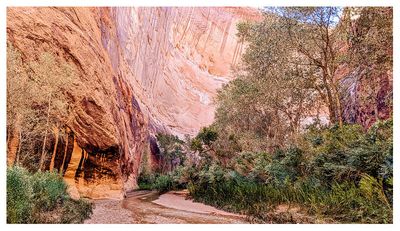 Coyote Gulch