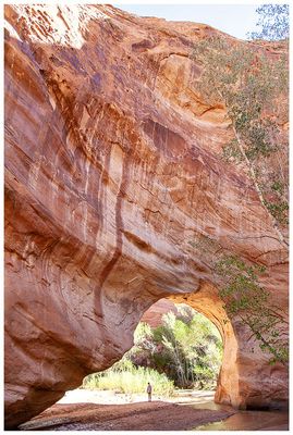 Coyote Natural Bridge