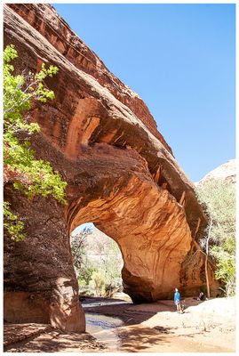 Coyote Natural Bridge