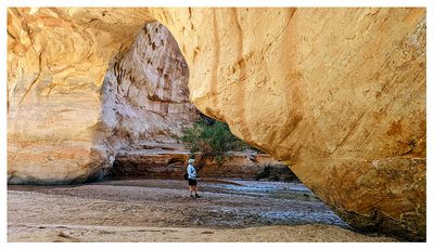 Coyote Natural Bridge