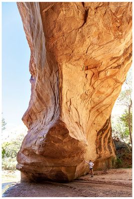 Coyote Natural Bridge