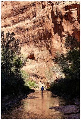 Coyote Gulch