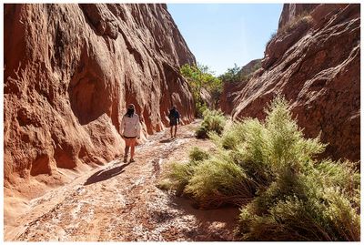 Willow Gulch
