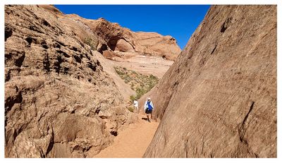 Willow Gulch