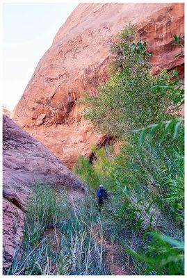 Willow Gulch
