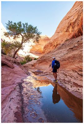 Willow Gulch