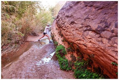 Willow Gulch