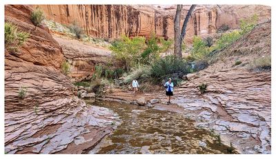 Willow Gulch