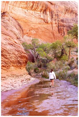 Willow Gulch