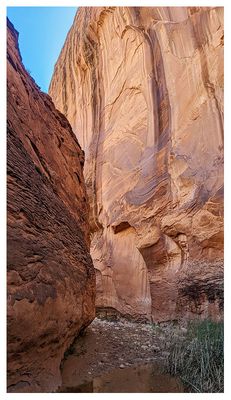 Willow Gulch