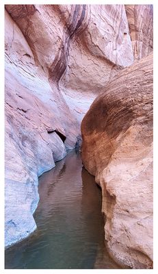 Willow Gulch