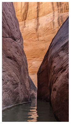 Willow Gulch