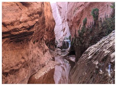 Fortymile Gulch