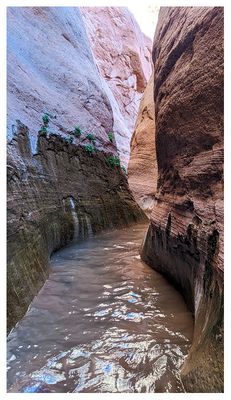 Fortymile Gulch