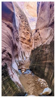 Fortymile Gulch