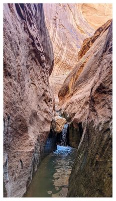Fortymile Gulch