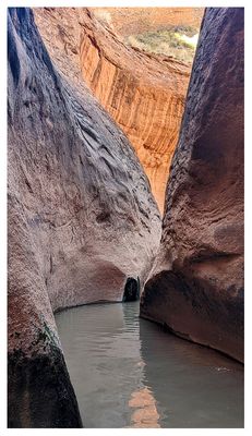 Fortymile Gulch
