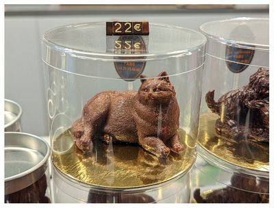 Chocolat Illn