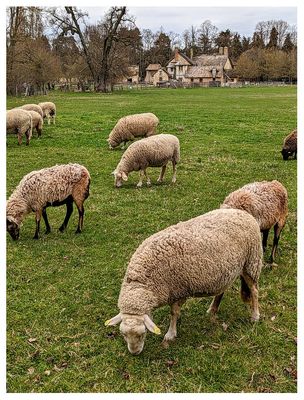 The Queen's Hamlet farm