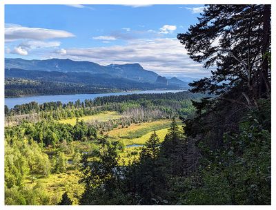 Columbia River view