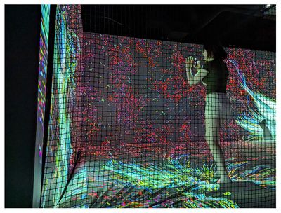 Quantum Trampoline