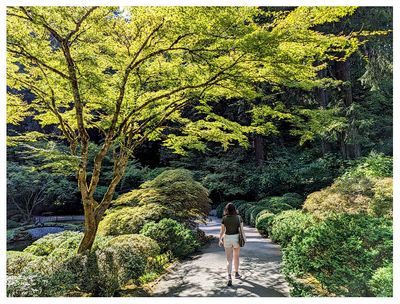 Portland Japanese Garden