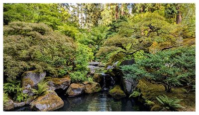 Portland Japanese Garden: Natural Garden