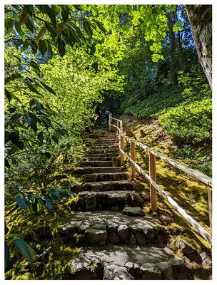 Portland Japanese Garden: Natural Garden