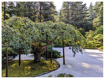 Portland Japanese Garden: Flat Garden