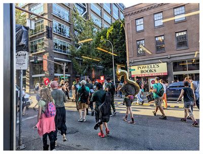 Portland demonstration