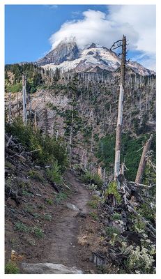 The Timberline Trail