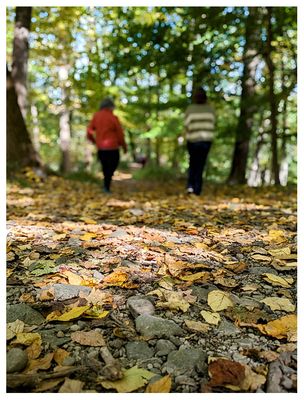 Hints of fall