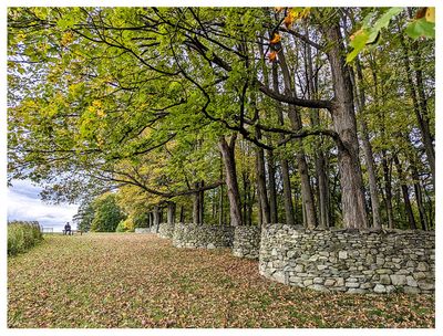 Wall by Andy Goldsworthy