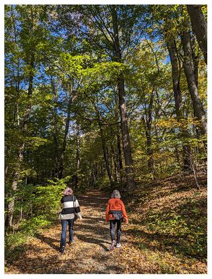 Walking the Vanderbilt loop