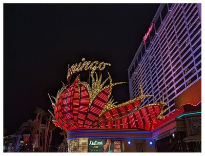 Las Vegas - The Flamingo