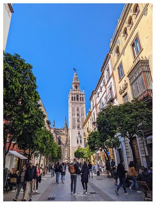 First look at the Seville Cathedral