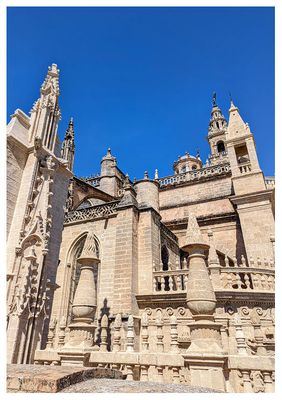 Seville Cathedral rooftop tour