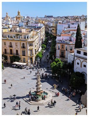 Seville Cathedral rooftop tour: View of Plaza Virgen de los Reyes