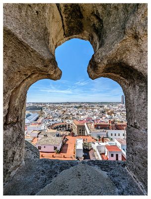  Seville Cathedral rooftop tour