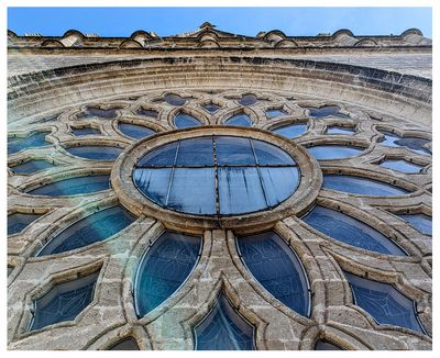  Seville Cathedral rooftop tour: Rose window