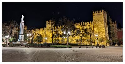 Royal Alczar at night