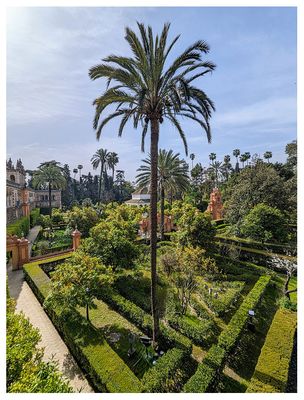 The Royal Alcázar gardens