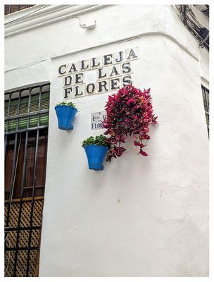 Calleja de las Flores