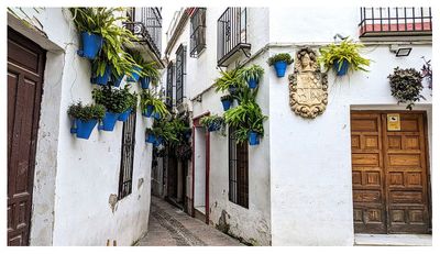 Calleja de las Flores