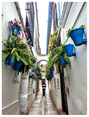Calleja de las Flores