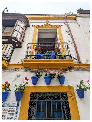 Calleja de las Flores