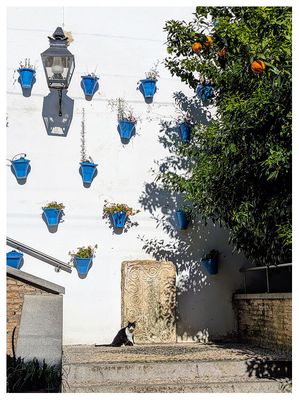 Zoco Municipal de Artesana