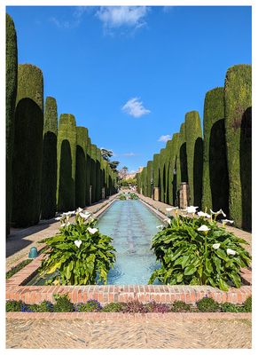 Alczar Gardens: Promenade of Kings 