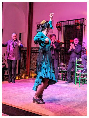 La Casa del Flamenco